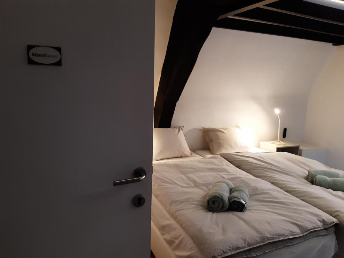 Ferienwohnung Het Maelslot Mechelen Exterior foto